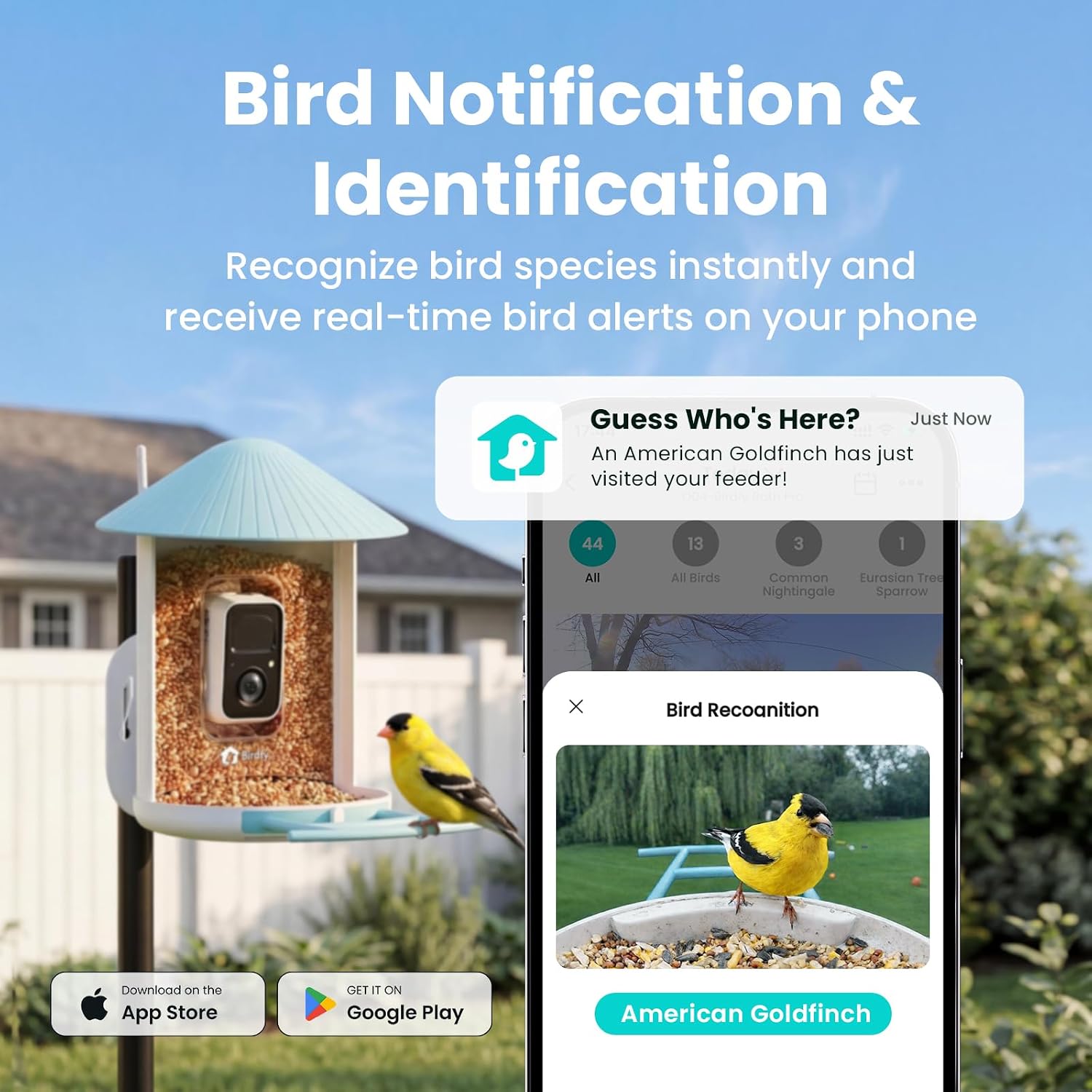 Birdfy 2K camera close-up footage of visiting birds