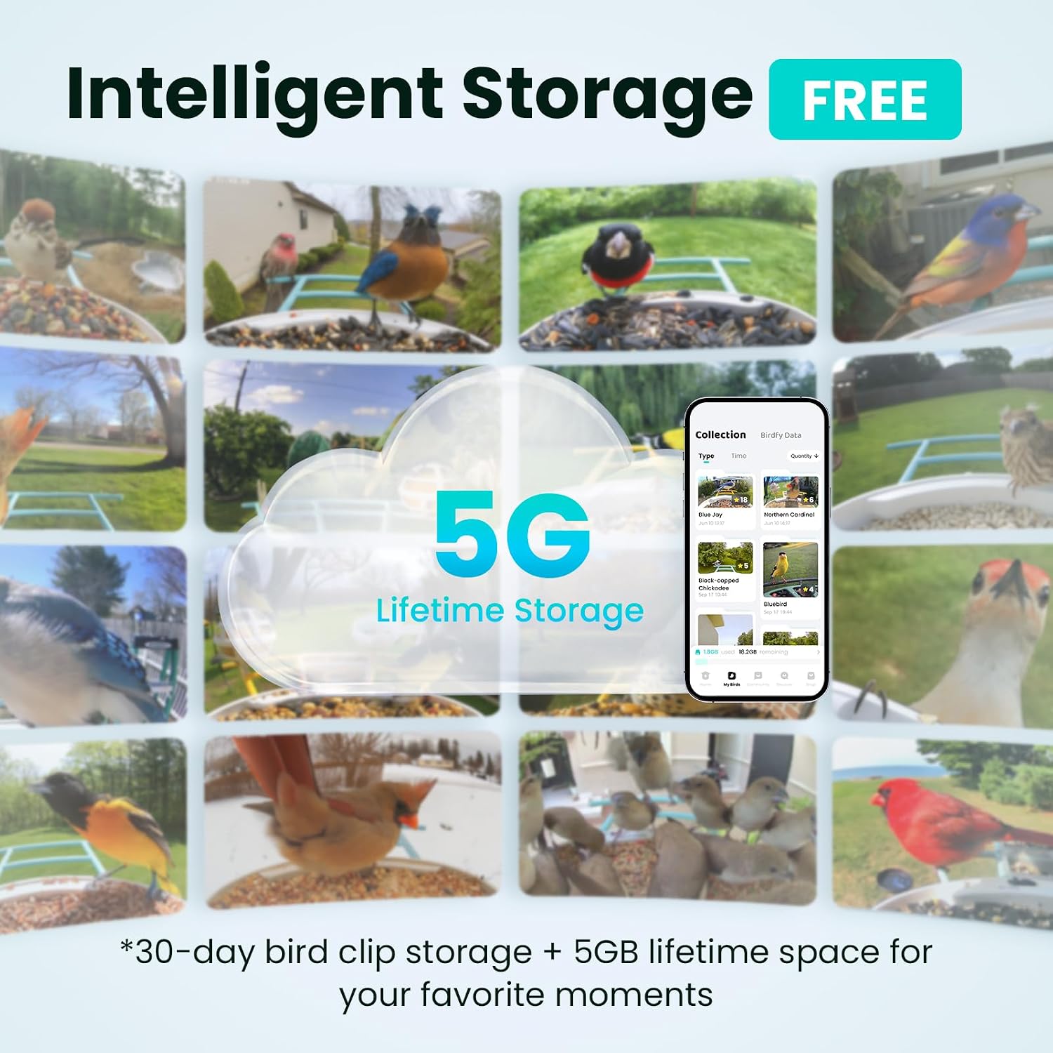 Birdfy AI bird species identification in the app