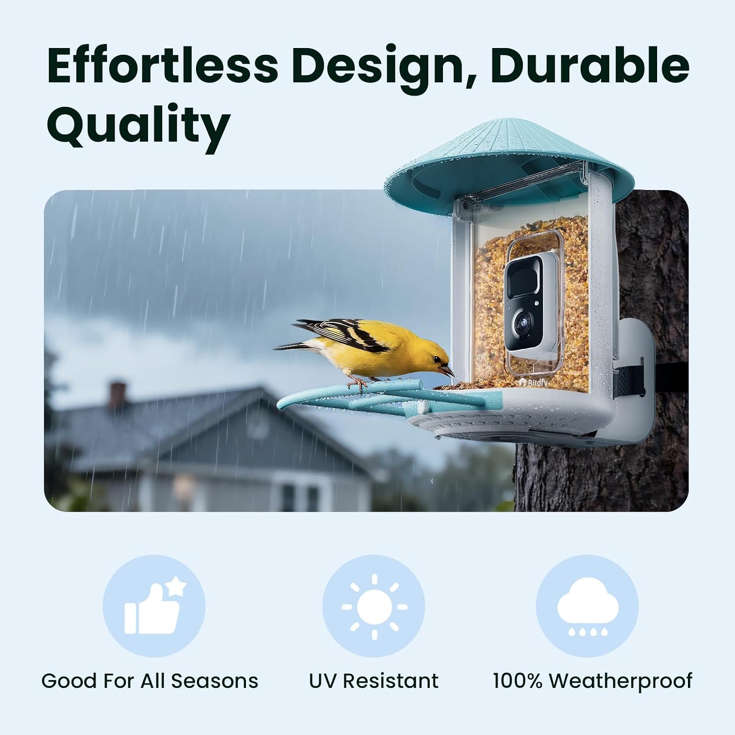 Birdfy instant phone notification when a bird arrives