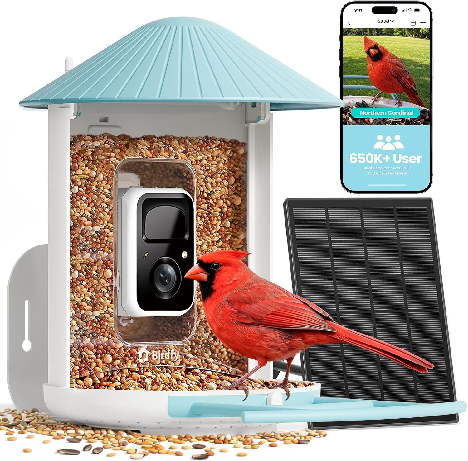 Smart bird feeder with built-in camera photographing a bird
