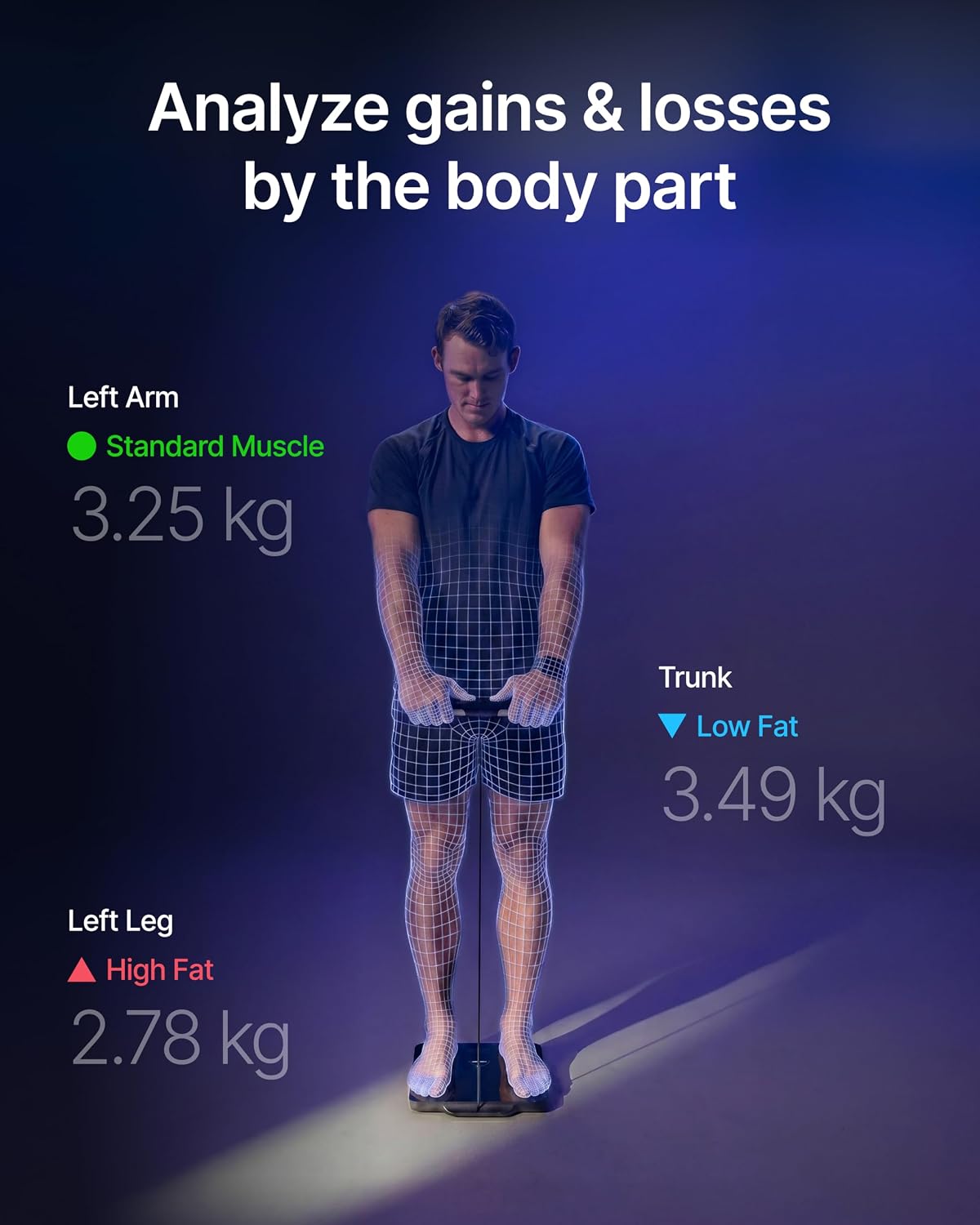 Analyze gains and losses by body part — left arm, torso, left leg muscle and fat figures