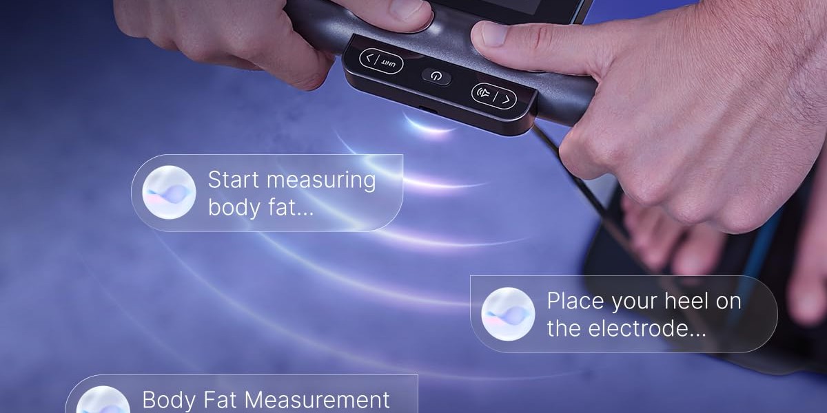 Handle your health precisely — real-time segmental muscle and fat analysis with MorphoScan technology vs regular scales